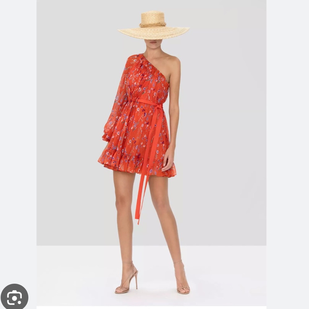 Alexis floral print mini dress New without tags. Never been worn